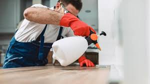 Best Pest Exclusion Services  in Hoosick Falls, NY